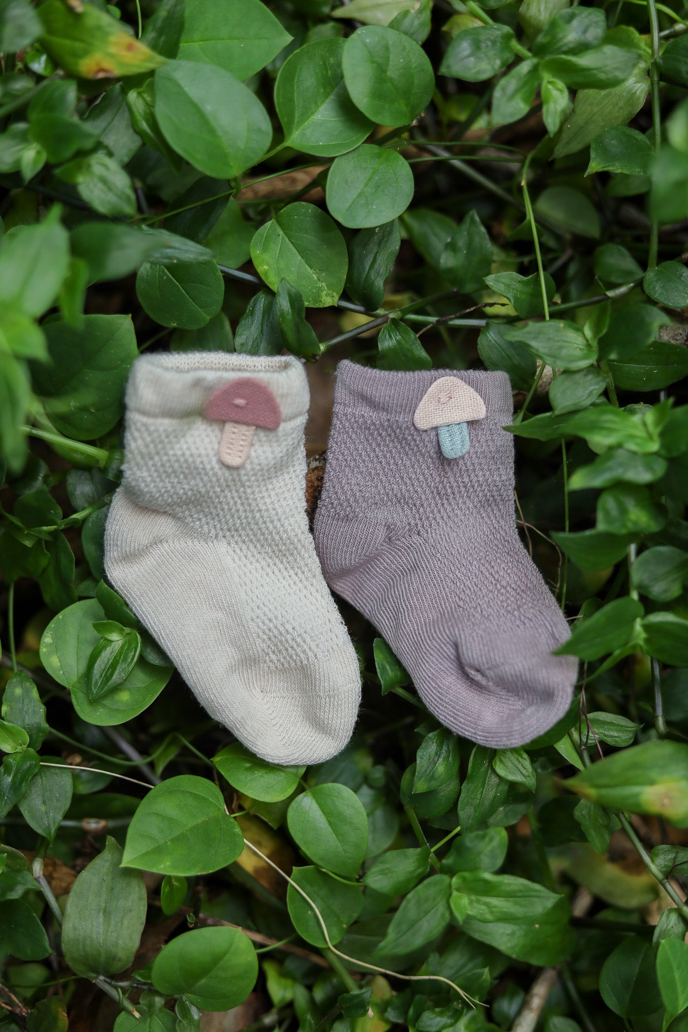 One pair of infant socks (colour and design will vary)