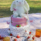 Strawberry Picnic 2-Tier Nappy Cake