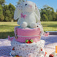 Strawberry Picnic 2-Tier Nappy Cake